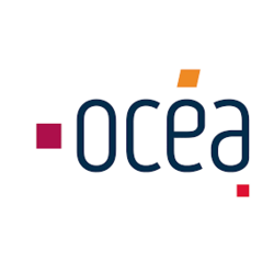 Marquage SERIGRAPHIQUE "OCEA" SANS FOND BLANC coeur 8/10 Cm