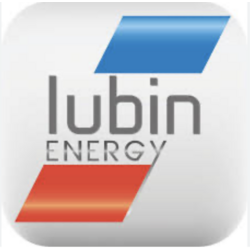 Marquage SERIGRAPHIQUE "LUBIN ENERGY" dos 20 Cm