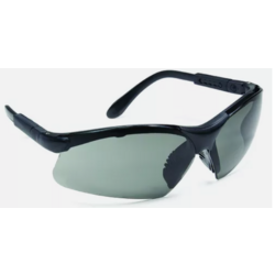 Lunettes THETA teint&eacute;es