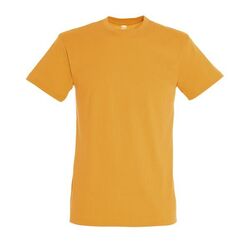 T-SHIRT MC H REGENT Ingré