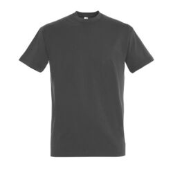 T-Shirt Homme Imperial Ingré