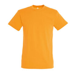 T-SHIRT MC H REGENT Ingré