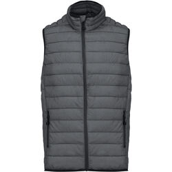 Bodywarmer Homme Doudoune L&eacute;g&egrave;re Ingré