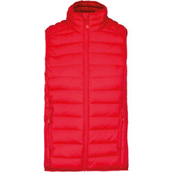 Bodywarmer Homme Doudoune L&eacute;g&egrave;re Ingré
