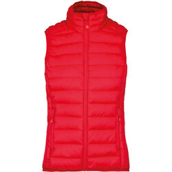 Bodywarmer Femme Doudoune L&eacute;g&egrave;re Ingré