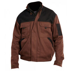 Blouson Typhon Classic DENNIS Ingré